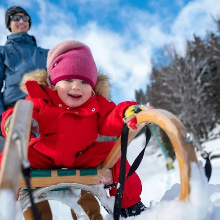 מלון Hinteregger 4*