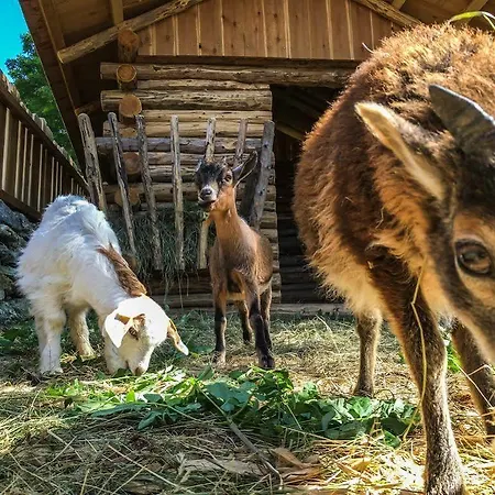 Szálloda Hinteregger 4*