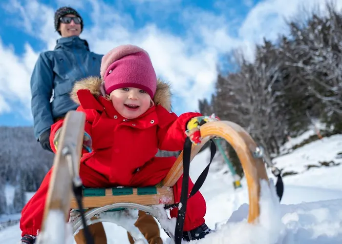 מלון Hinteregger 4*